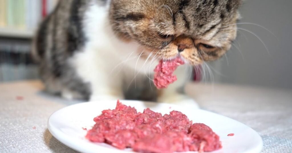 wieght control food for cat