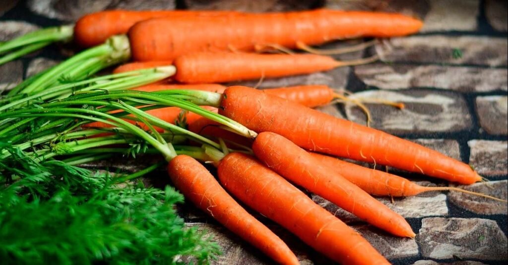Carrots A Nutritious Choice for Digestive Health