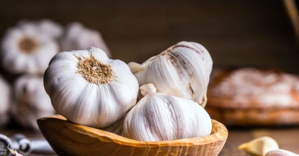 Garlic A Popular Food for Gut Health