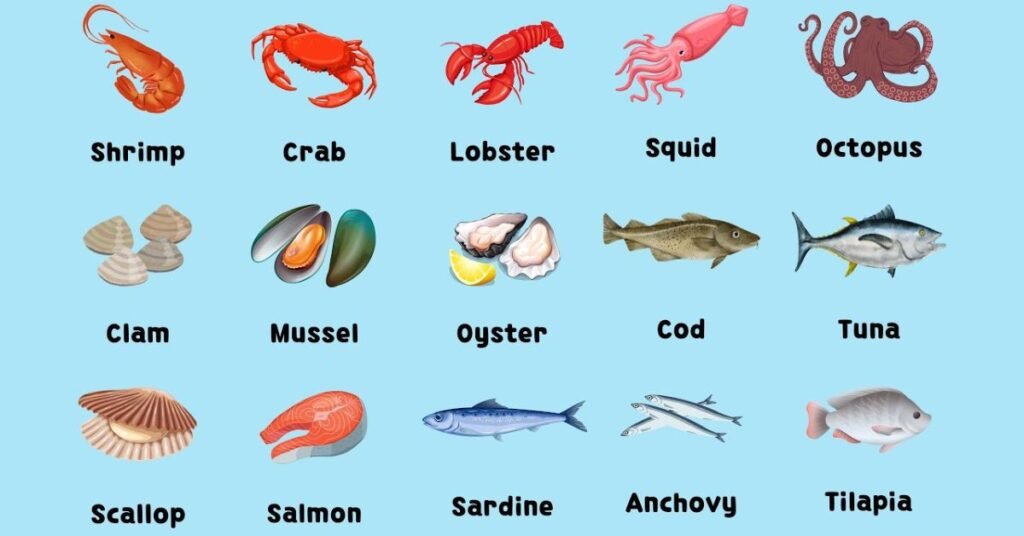 Types of Fish food