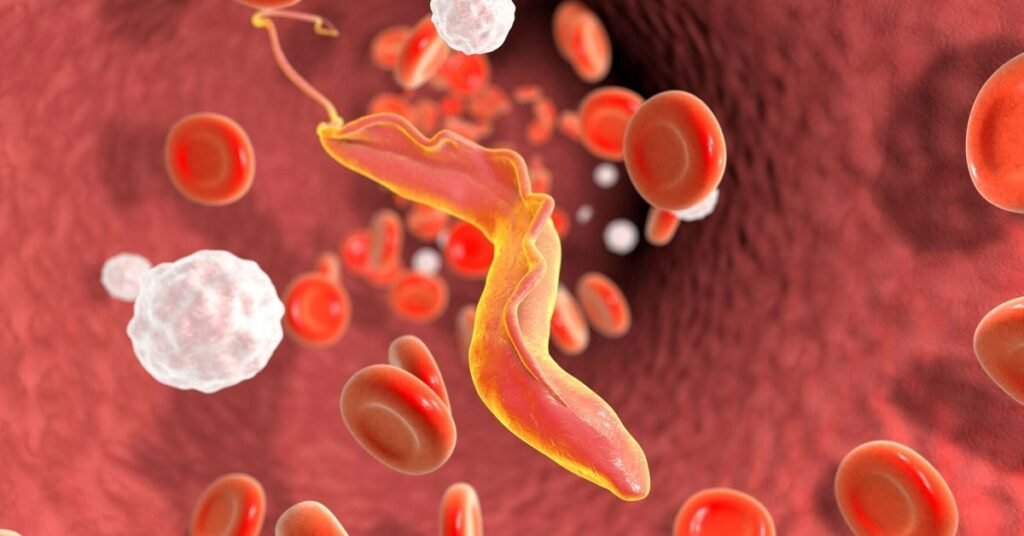 what is Parasites