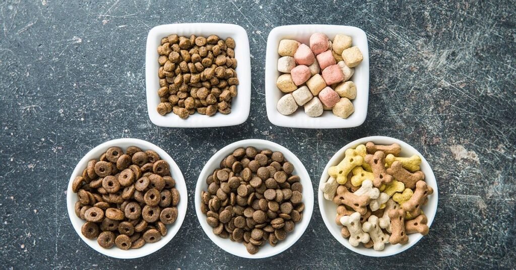Popular Recipe Options in Dog Food